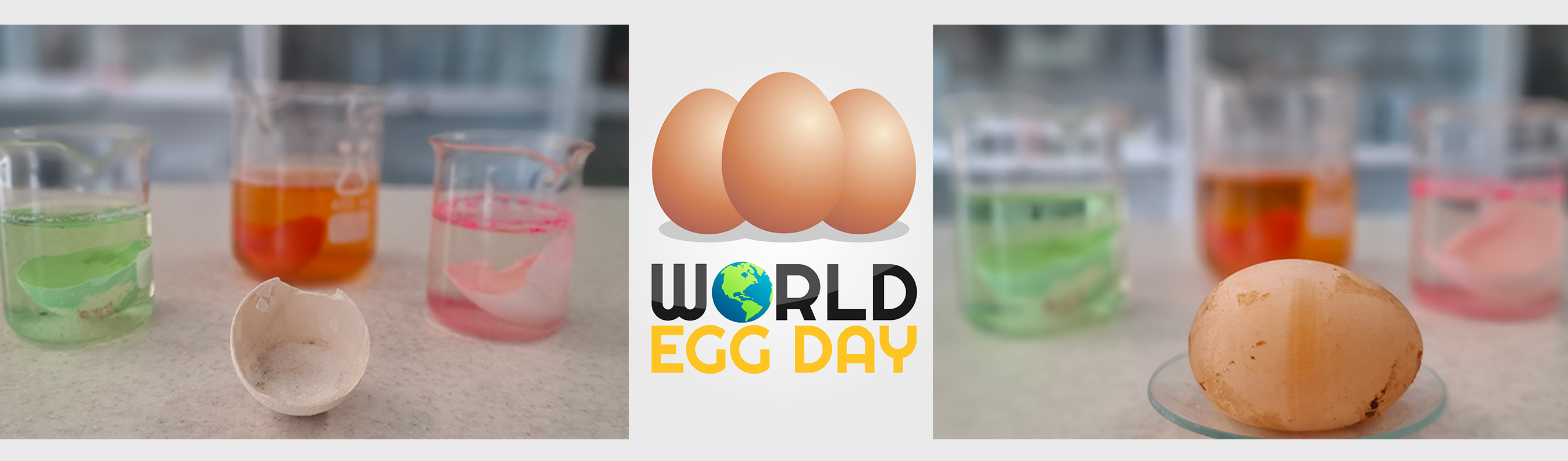 World Egg Day